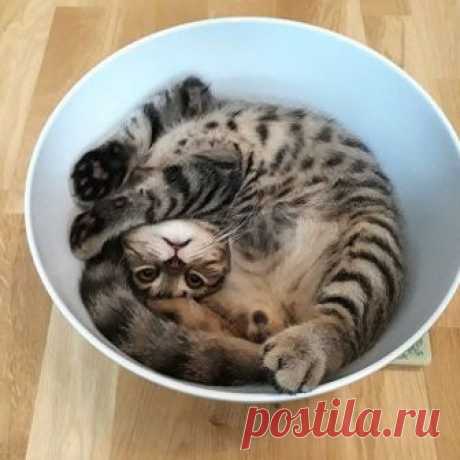 Мой Мир@Mail.Ru