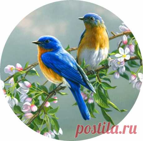 круглые картинки для декупажа - Поиск в Google
