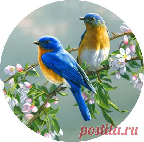 круглые картинки для декупажа - Поиск в Google
