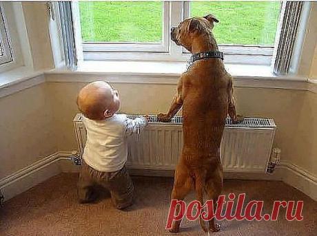 (52) Одноклассники