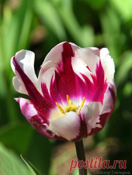 Вспоминая лето... ♥ 📸 #Виктор_Гончаров