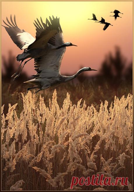Alex Blyg Photo