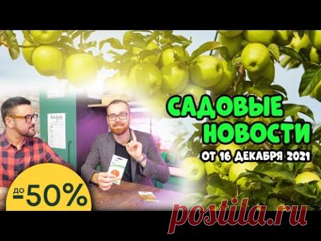 Огород на подоконнике, любимые яблоки Достоевского и супер Розыгрыш. Садовые новости 16.12.2021 г.