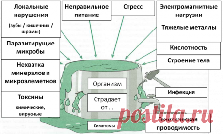 7-ка советов как выглядеть моложе своих лет: почему мы стареем и что помогает сохранить молодость