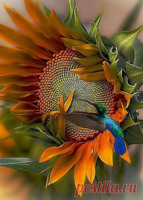 (2) A Moment In Time by John Kolenberg | Birds of a Feather