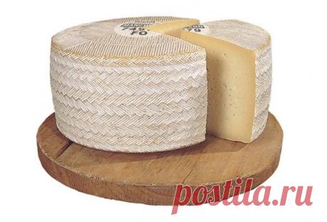 Сыр Манчего / Магазин "Сыроделие в Беларуси"