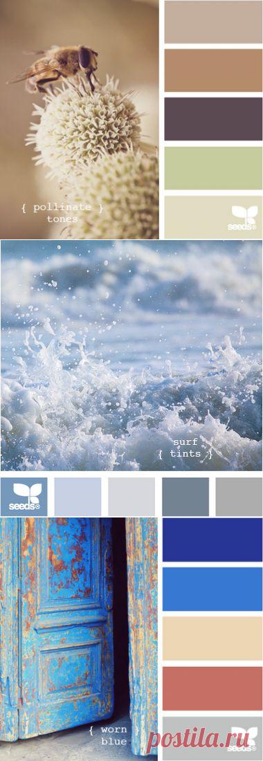 Anasteisha: Самые лучшие сочетания цветов уже придуманы природой.