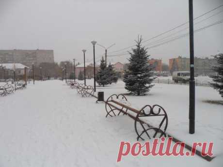 Чем заняться огороднику зимой?