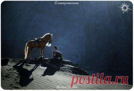 Уведомления