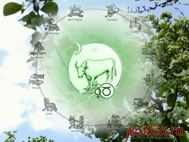 Гороскоп для Тельца с 1 по 28 мая 2023 

♉ ✨ Автор: астролог Нина Стрелкова. 
✧ Лунное затмение 5 мая 2023 затрагивает ваш знак, ведь затменная Луна в Скорпионе противостоит не только Солнцу в Тельце, но еще и Урану и ретроградному Меркурию в том же знаке. Обе планеты в соединении с Солнцем. Венера в начале мая конфликтует с Нептуном, что несет риск заблуждений, обманов, неблагоприятного влияния на самочувствие. 7 мая 2023 Венера перейдет в знак Рака...