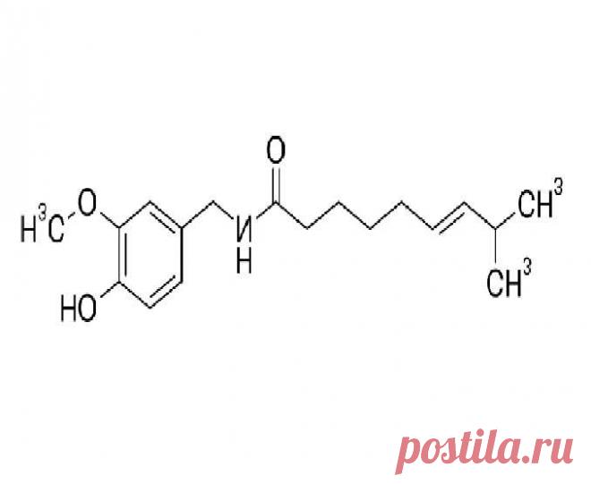 Капсаицин, экстракт острого перца: история, извлечение, хранинеи и применение. Панацея от множества заболеваний: лишний вес, мигрени, бессоница и другие.