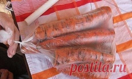 Пин содержит это изображение: ​Проверенный способ хранения моркови