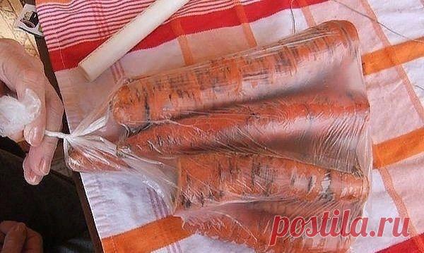Пин содержит это изображение: ​Проверенный способ хранения моркови