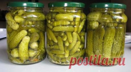 Маринованные огурчики «Хрустящие»: самые мои любимые Очень вкусные, твeрдые, хрустящие огурчики. Рассол от них вас тоже порадует. Из всего многообразия рецептов маринованных огурцов этот самый любимый — последние 2 года готовлю именно по нему. Выход на 10 литровых банок. Ингредиенты для «Маринованные огурцы «Хрустящие»»: Огурец ( свежие) — 5 кг Чеснок — 10 зуб. Перец черный (горошком) — 30 шт Укроп …