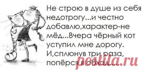 1926749_867357066637697_8228216637697585884_n.jpg (604×310)