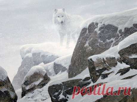 Художник Douglas R. Laird (Дуглас Лейрд). Часть 4.