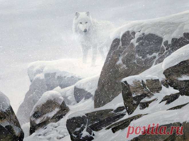 Художник Douglas R. Laird (Дуглас Лейрд). Часть 4.