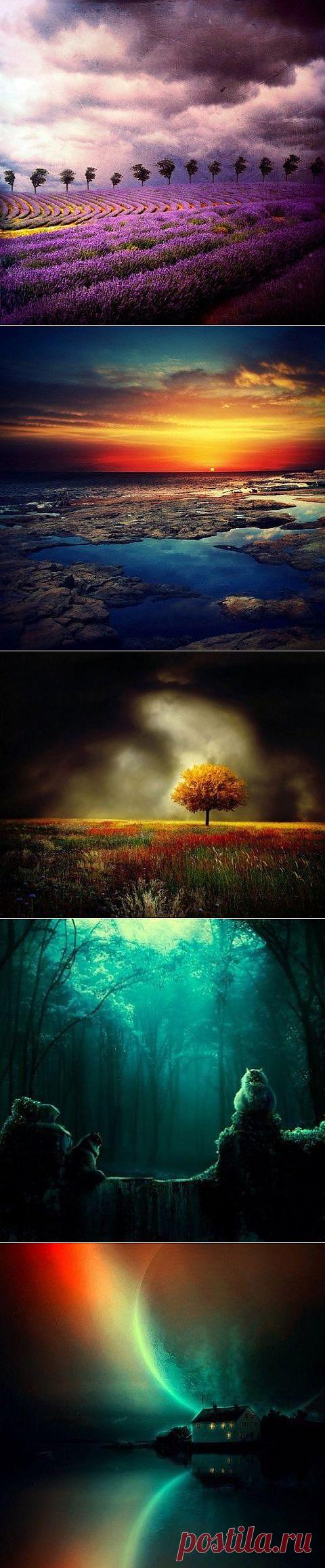 (75) Одноклассники