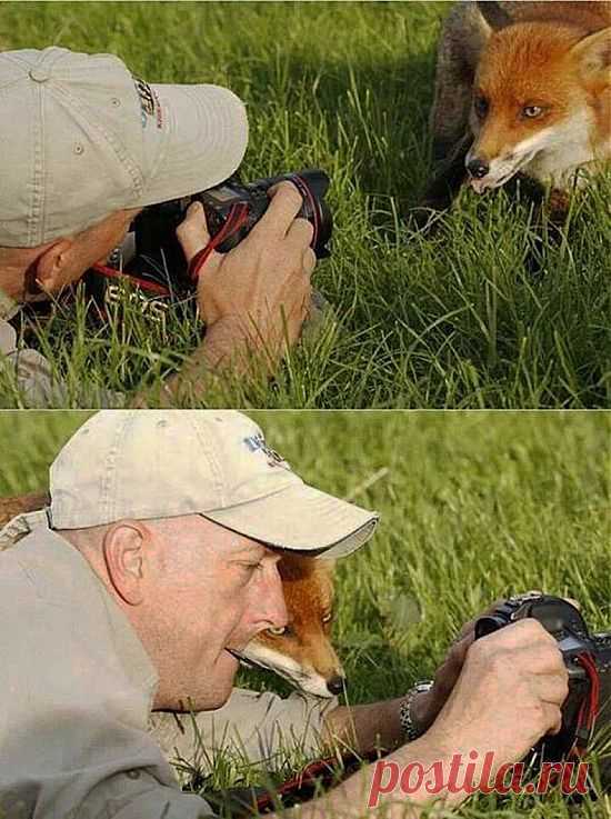 - Ну, что там??)