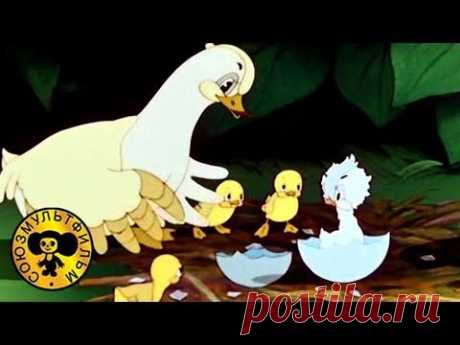 ▶ Гадкий утёнок | Советские мультфильмы для детей - YouTube