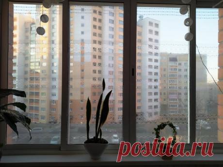 Как защититься от солнца на солнечной стороне квартиры