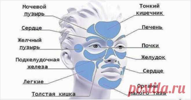 Способ узнать о своих болезнях по лицу — Бабушкины секреты