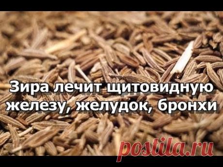 Зира лечит щитовидную железу, желудок, бронхи...