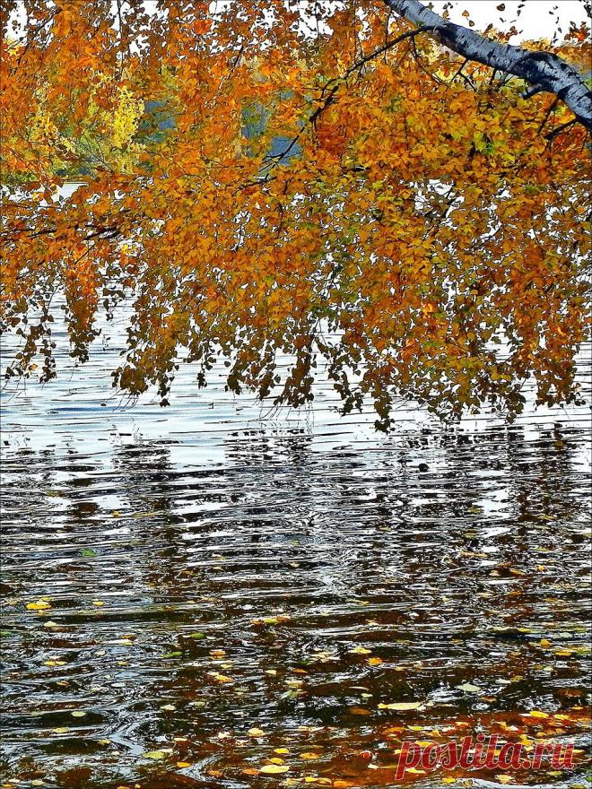 tsyganok-ap — «На пруду» на Яндекс.Фотках