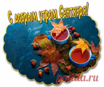 Картинка с добрым утром Сентября!