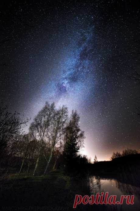 Out of This World