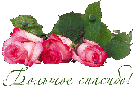 Большое спасибо!