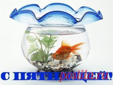 ДОЖИЛИ!!! | ДОСТОЙНАЯ ЖИЗНЬ НА ПЕНСИИ