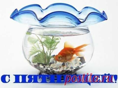 ДОЖИЛИ!!! | ДОСТОЙНАЯ ЖИЗНЬ НА ПЕНСИИ