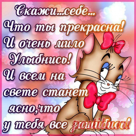 Новости