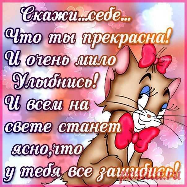 Новости