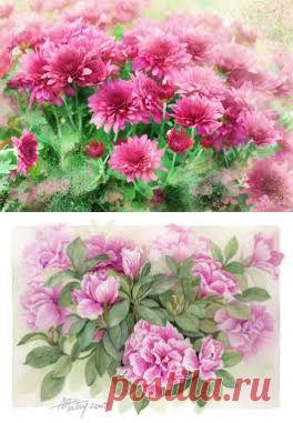 мешканці моря акварель - Пошук Google