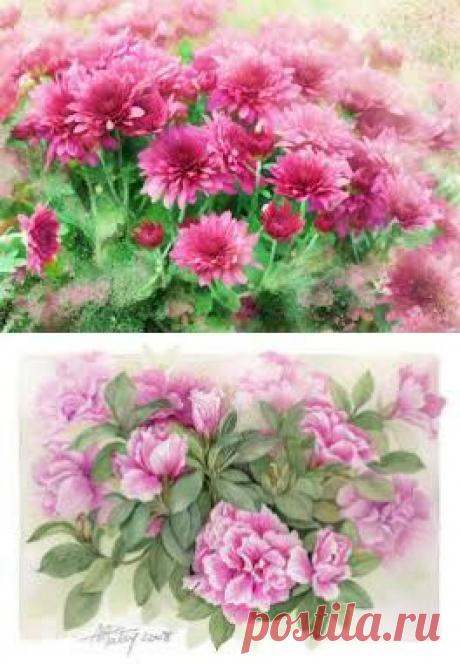 мешканці моря акварель - Пошук Google