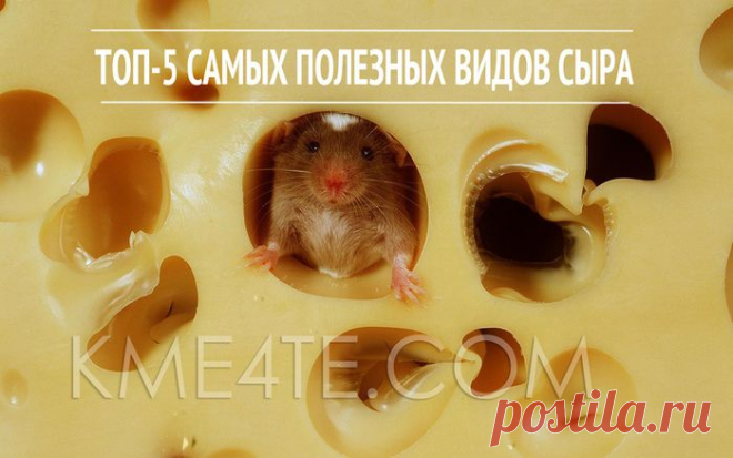ТОП-5 САМЫХ ПОЛЕЗНЫХ ВИДОВ СЫРА.