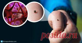 Вспышка энцефалита: Вот как его распознать, пока не стало слишком поздно Подзабытая болезнь возвращается. Под энцефалитом подразумевают воспаление головного мозга, которое приводит к нарушениям нормального процесса притока крови к головному мозгу. О нем все чаще упоминают в СМИ в связи с последними случаями отравлений в детских лагерях...