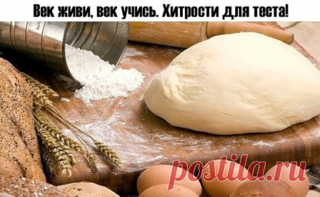 Сохраните, чтобы не потерять
Век живи, век учись. Хитрости для теста!
1. Всегда добавляйте в тесто разведенный картофельный крахмал – булки и пироги будут пышными и мягкими даже на следующий день. Главное условие вкусных пирогов — пышное, хорошо взошедшее тесто: муку для теста необходимо просеять: из нее удаляются посторонние примеси, и она обогащается кислородом воздуха2. В любое тесто (кроме пельменного, слоеного, заварного, песочного), то есть тесто на пироги, блины, хл...