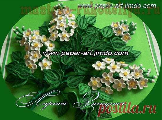 Мастер-класс по квиллингу: Цветы черемухи