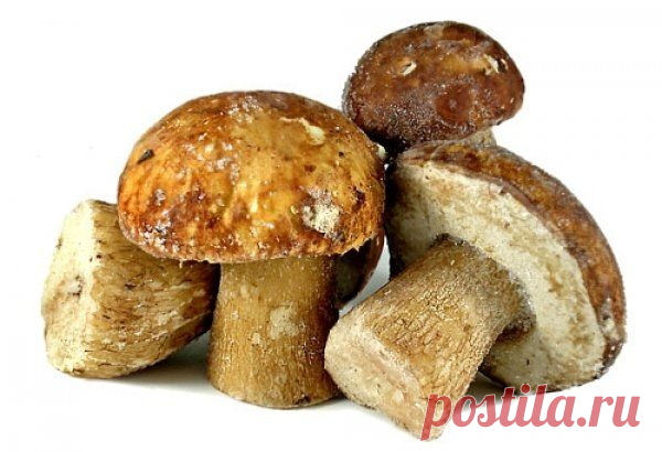 Вкусные рецепты- как заморозить грибы