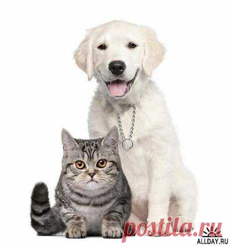 ДРУЖБА | FRIENDSHIP