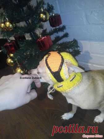 ШАПКА для СОБАКИ 