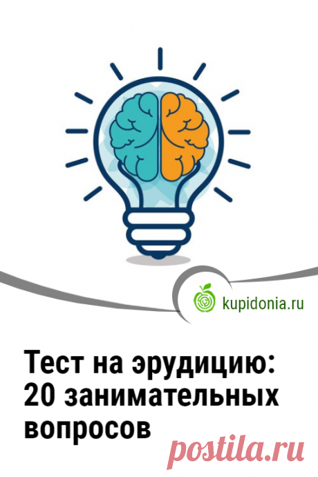 Тест на эрудицию: 20 занимательных вопросов для проверки вашего кругозора. Интересный развлекательный тест для проверки и расширения вашего кругозора.  Сможете ли вы ответить правильно на каждый из его вопросов?