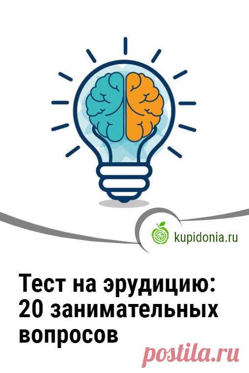 Тест на эрудицию: 20 занимательных вопросов для проверки вашего кругозора. Интересный развлекательный тест для проверки и расширения вашего кругозора.  Сможете ли вы ответить правильно на каждый из его вопросов?