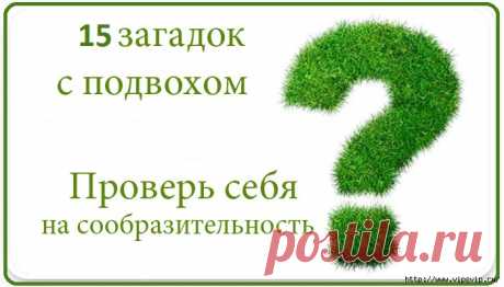 Лучшее из лучшего!