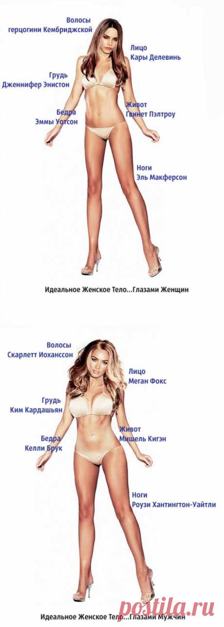Как выглядит идеальная женщина глазами женщины и мужчины