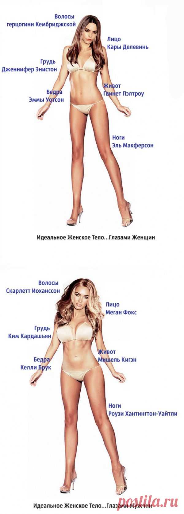 Как выглядит идеальная женщина глазами женщины и мужчины