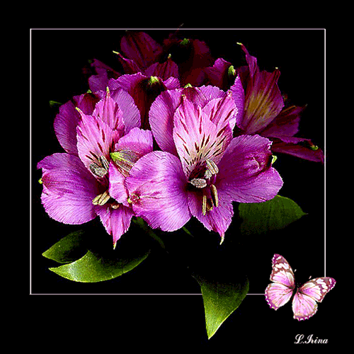 КАК СОХРАНИТЬ В ПАПКУ КОМПЬЮТЕРА КАРТИНКУ ВМЕСТЕ С ТЕКСТОМ ПОД НЕЙ

http://www.liveinternet.ru/users/lllyria/post363981149/